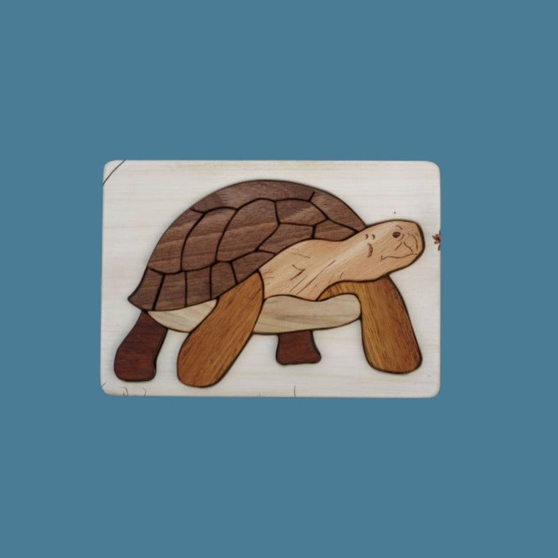 Cocoletes Turtle Puzzle